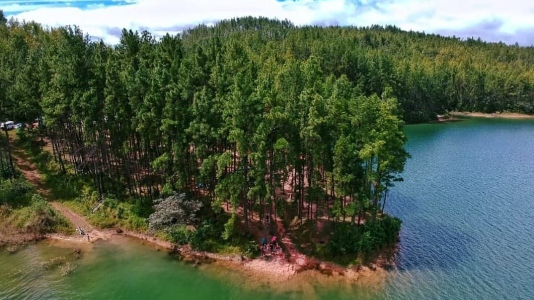 Veraguas: Incendio en Reserva La Yeguada fue extinguido