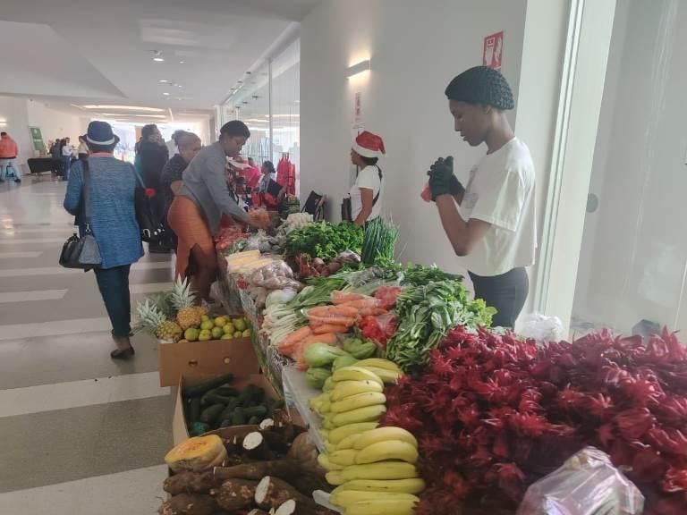 Ciudad de la Salud celebró bazar navideño