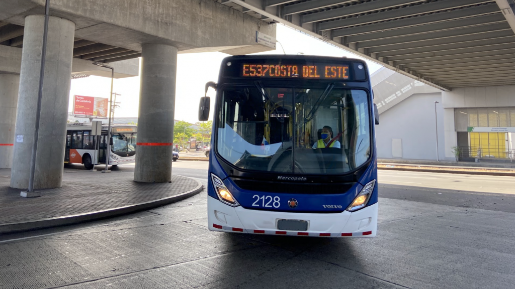 Seis empresas pujan por la nueva flota de buses eléctricos de MiBus