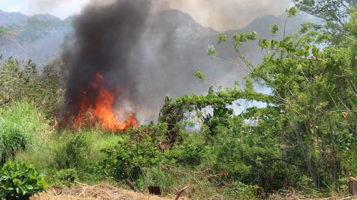 Simulacro de Incendio en Playa Malibú Prueba Respuesta