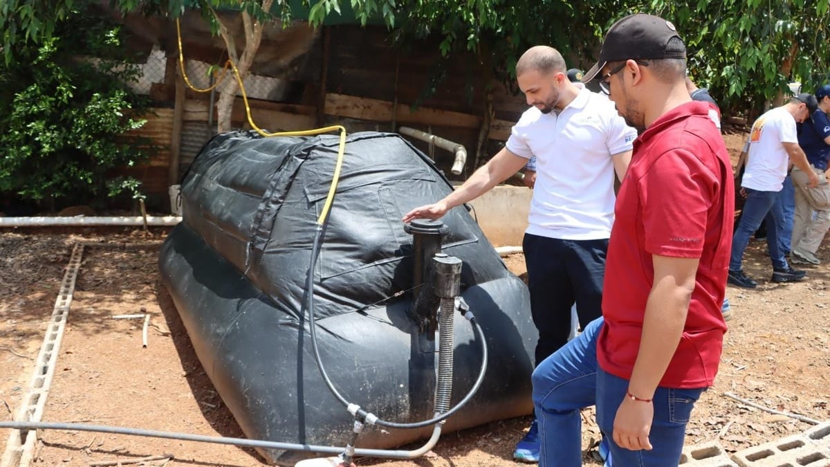 Biodigestores bajo la lupa en fincas porcinas del río La Villa