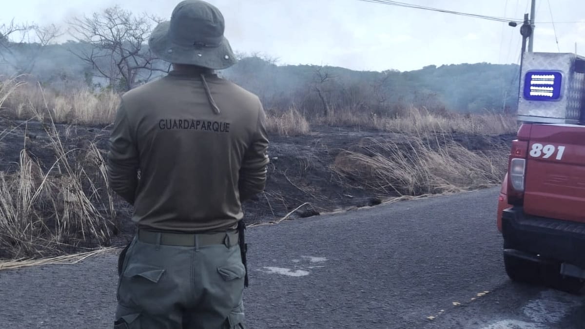 Evitan gran incendio en Bahía de Chame