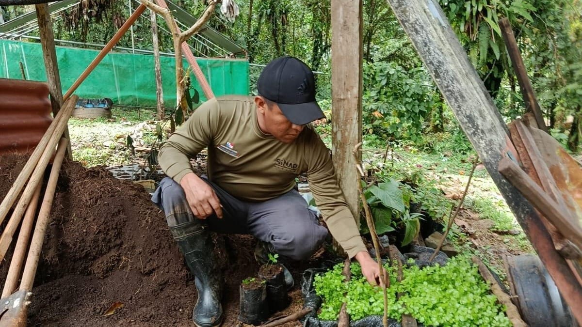 MiAMBIENTE refuerza vigilancia en Parque Santa Fe