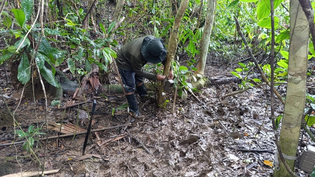 Cámaras y parcelas para estudiar biodiversidad en Isla Escudo