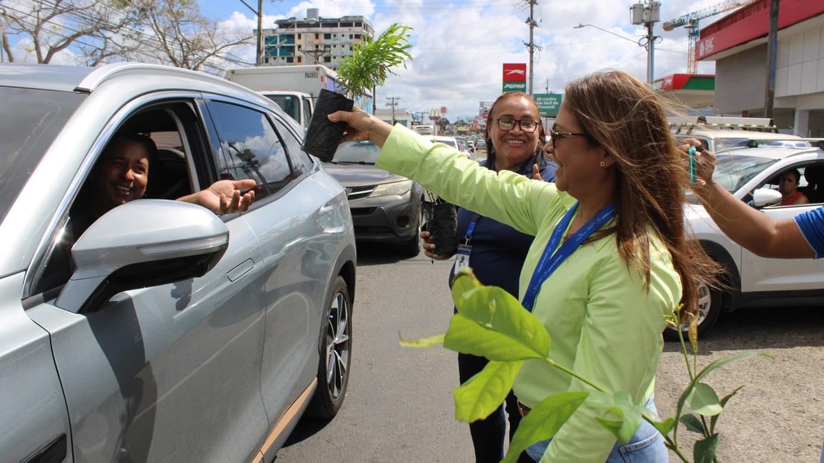 MiAMBIENTE celebra 11 años con actividades en Panamá Oeste