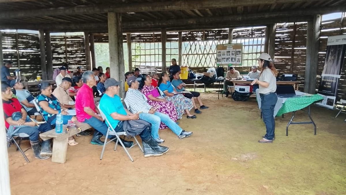 MiAMBIENTE capacita en agroforestería para áreas protegidas