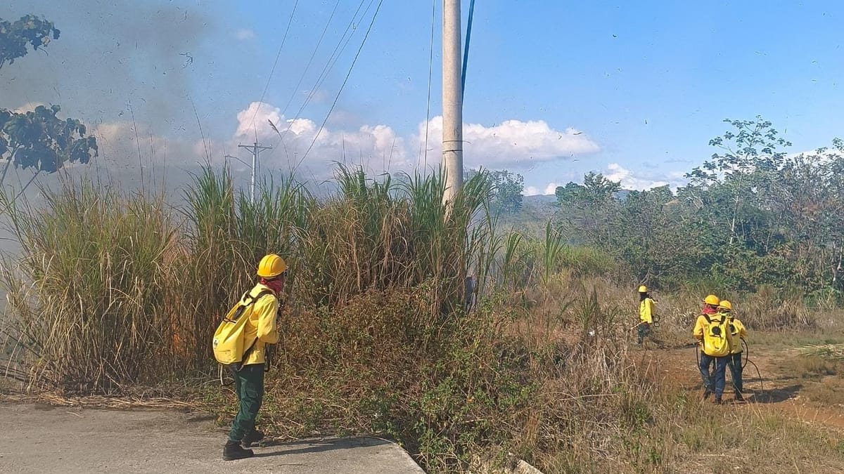 Incendio en Chepo: Brigadas Forestales Controlan Fuego en Tanara
