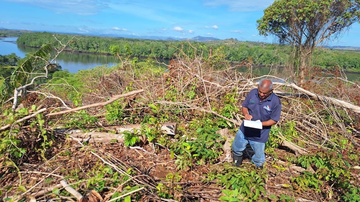 MiAMBIENTE detecta tala ilegal en Humedal Golfo de Montijo