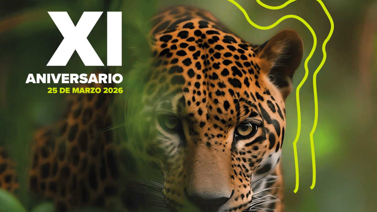 MiAMBIENTE celebra 11 años dictando política ambiental