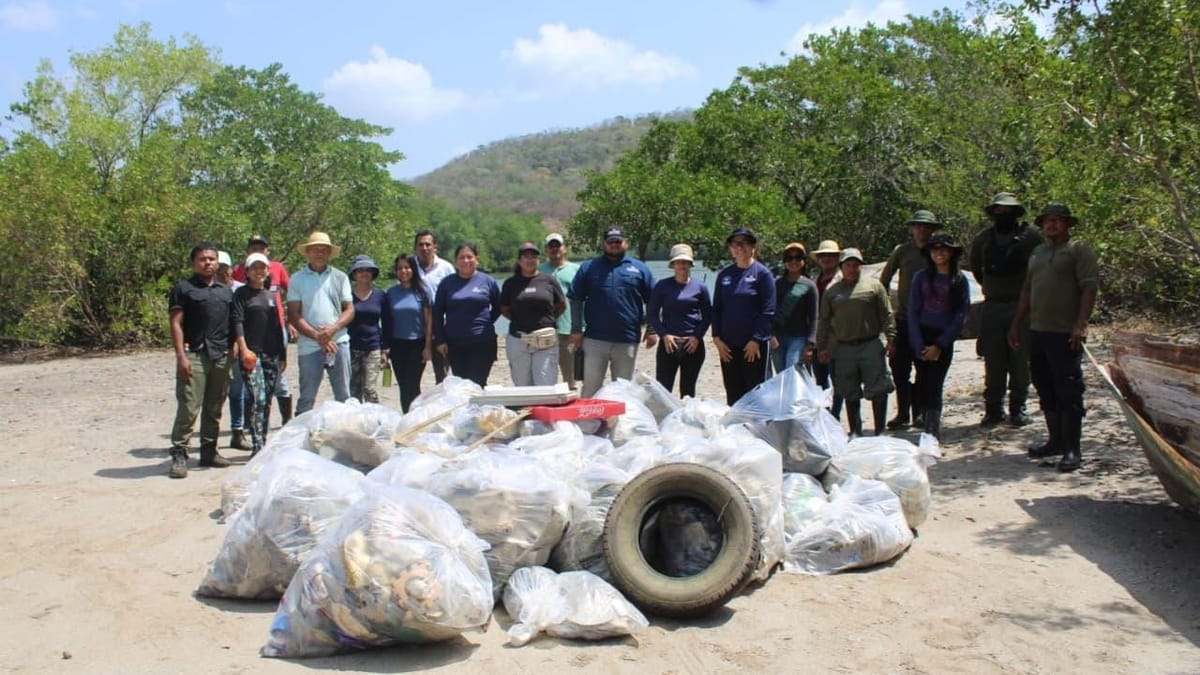 Manglar de Chame: 37 bolsas de basura recogidas