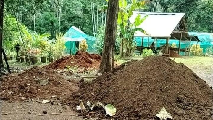 MiAMBIENTE arranca producción de plantones en Arraiján