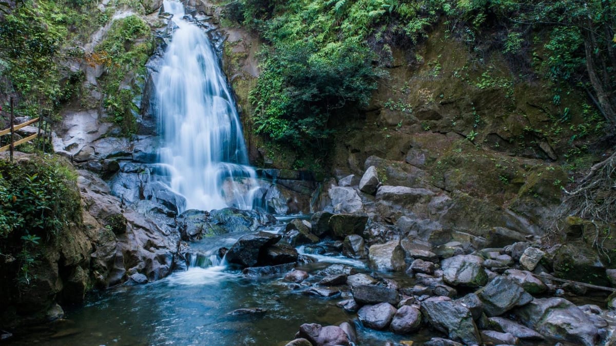 Día del Agua: ONU resalta crisis hídrica y género