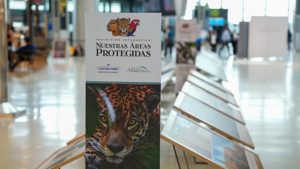 Tocumen exhibe la riqueza natural de Panamá: el país refuerza su perfil verde