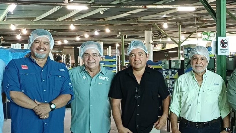 Agroexportadores impulsan empleo rural en Panamá