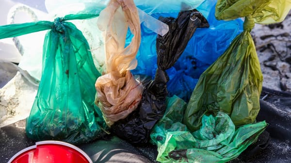 Ley de bolsas reutilizables: A 6 años de su implementación, 1 de cada 3 verificaciones aún presenta anomalías