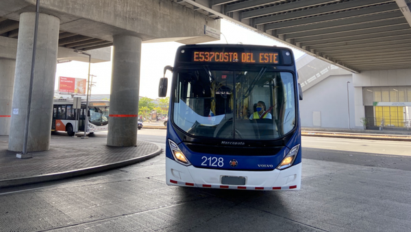 Seis empresas pujan por la nueva flota de buses eléctricos de MiBus