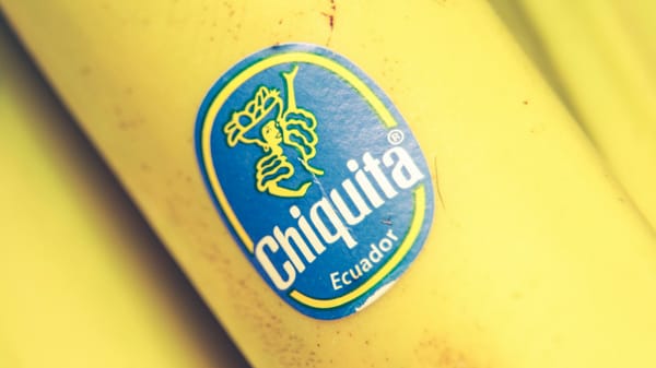 Chiquita Reactiva Operaciones en Bocas del Toro con Primera Cosecha Tras Crisis Laboral