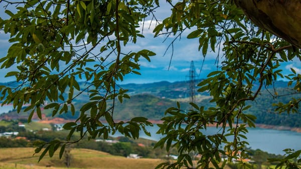 Darién: la reconversión de crisis migratoria a negocio ecoturístico