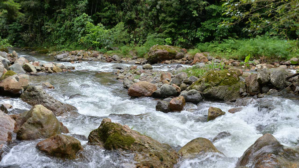 Canal de Panamá fija compensaciones en Río Indio: tierras a valor de mercado y casas como nuevas