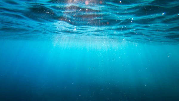 Descubrimiento revela producción de oxígeno en las profundidades del océano sin fotosíntesis