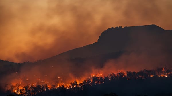 Startup argentina combate incendios en la Patagonia con drones sobre el fuego