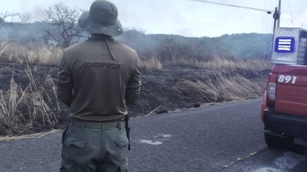 Evitan gran incendio en Bahía de Chame