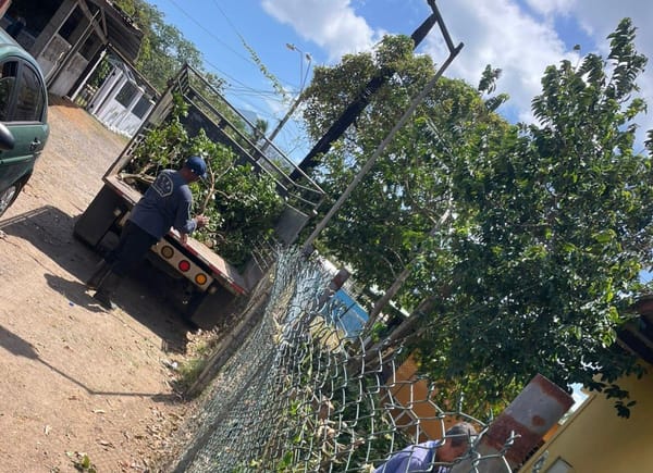 MiAMBIENTE Capira le dio una 'manito de gato' a sus oficinas