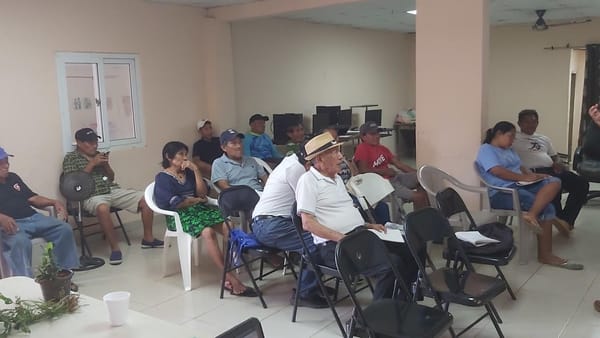 Abono orgánico para la seguridad alimentaria Guna en Arraiján