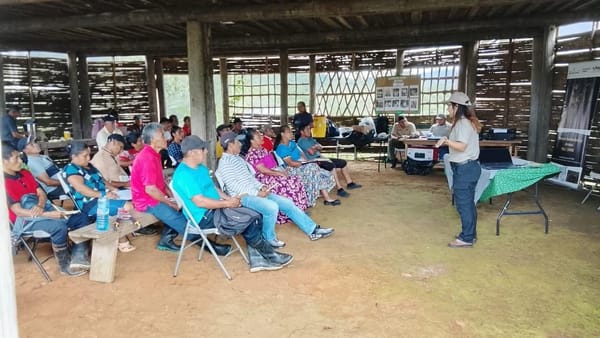 MiAMBIENTE capacita en agroforestería para áreas protegidas