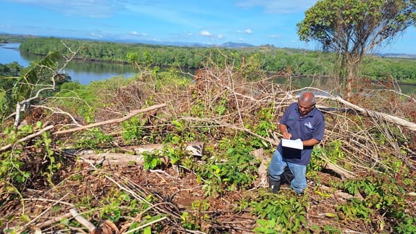 MiAMBIENTE detecta tala ilegal en Humedal Golfo de Montijo