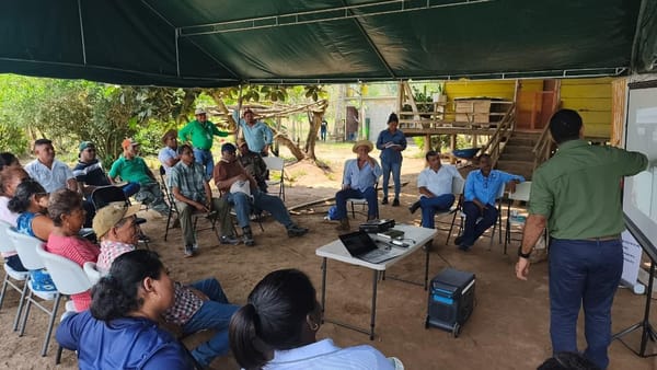 Ganaderos de Darién y Chepo: claves para vivir con jaguares