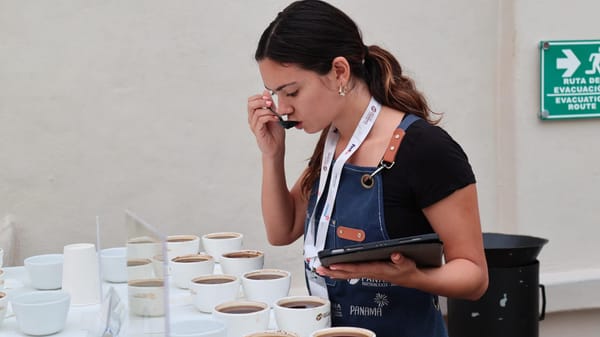 China desbancó a Estados Unidos como principal comprador del café panameño