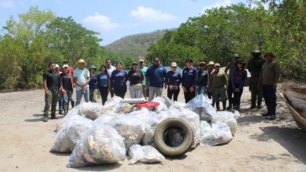 Manglar de Chame: 37 bolsas de basura recogidas