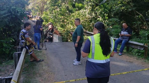 Camión cargado de maíz cae al río Perequete en Capira
