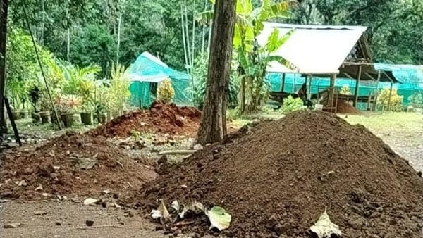 MiAMBIENTE arranca producción de plantones en Arraiján
