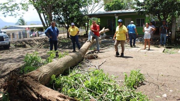 Árbol cae sobre vivienda en Capira por fuertes vientos