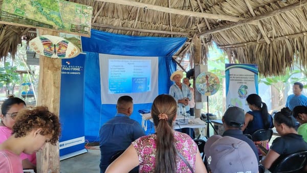 MiAMBIENTE refuerza vigilancia en Darién