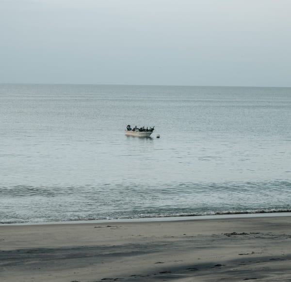 MiAmbiente: Plan para el Banco Volcán a consulta
